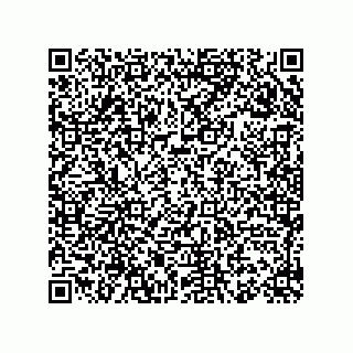 vCard 78155549285