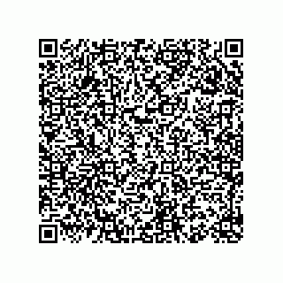 vCard 78155549293