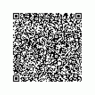 vCard 78155549331
