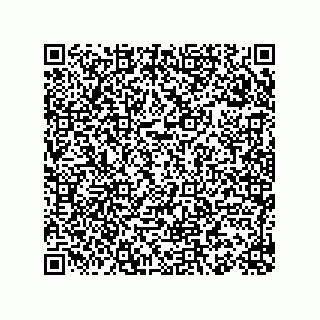 vCard 78155549335