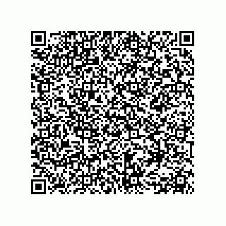 vCard 78155549376