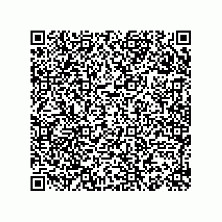 vCard 78155549381