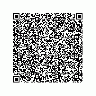 vCard 78155549387