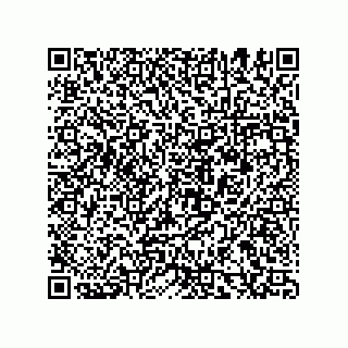 vCard 78155560113