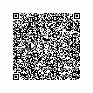 vCard 78155560169