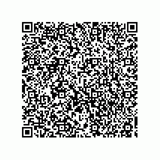 vCard 78155568839