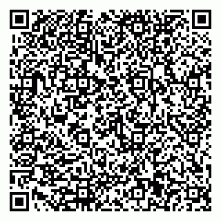 vCard 78162151300