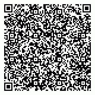 vCard 78162155387
