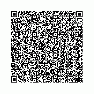 vCard 78162503529