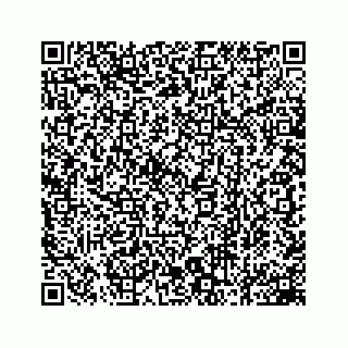 vCard 78162503541