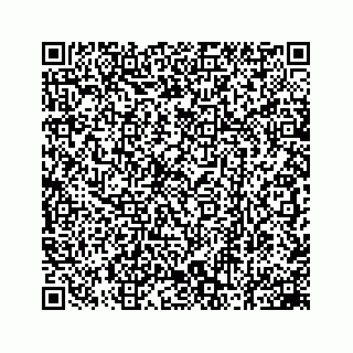 vCard 78162503599