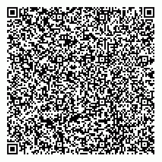 vCard 78162649393