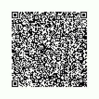 vCard 78162734007