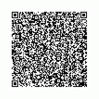 vCard 78162734029