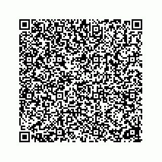 vCard 78162734065