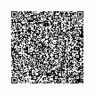 vCard 78162734101