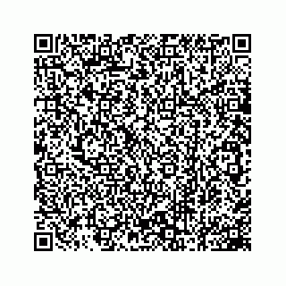 vCard 78162734103