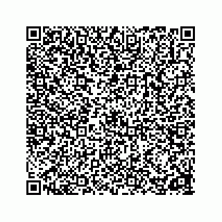 vCard 78162734113