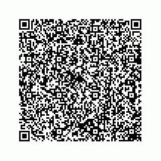 vCard 78162734119