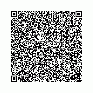 vCard 78162734132