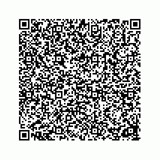 vCard 78162734203