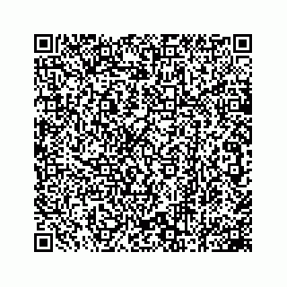 vCard 78162734205
