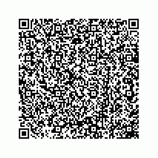 vCard 78162734288