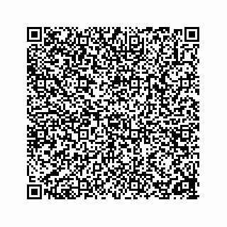 vCard 78162734291