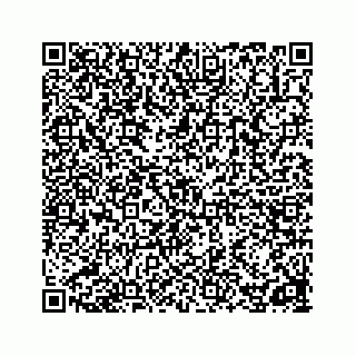 vCard 78162734295