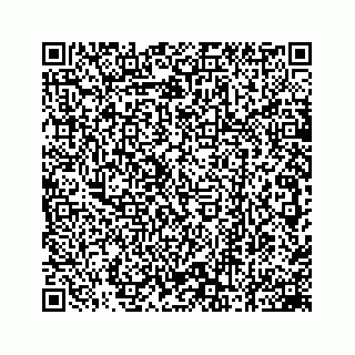 vCard 78162734297