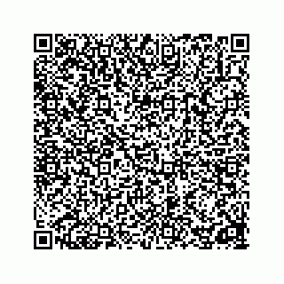 vCard 78162734329