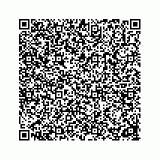 vCard 78162734331