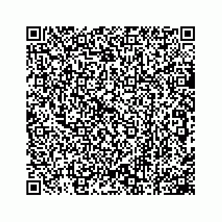 vCard 78162734339
