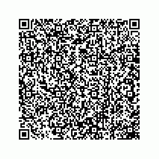 vCard 78162737003