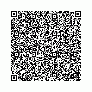 vCard 78162737040