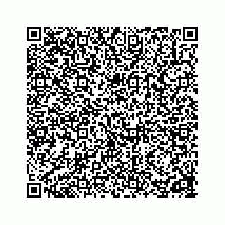 vCard 78162737101