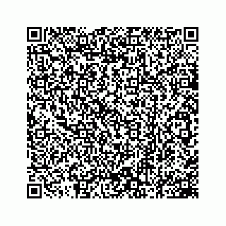 vCard 78162737105