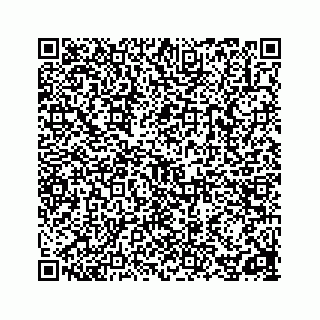 vCard 78162737133