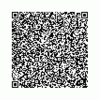 vCard 78162737153