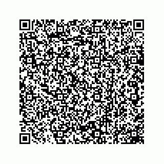 vCard 78162737207