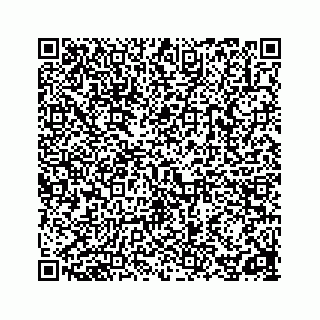 vCard 78162737229