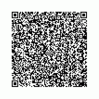 vCard 78162737259