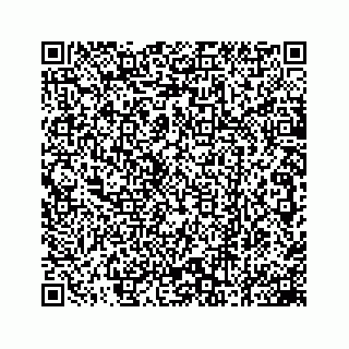 vCard 78162737290