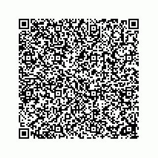 vCard 78162737295