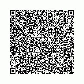 vCard 78162737304