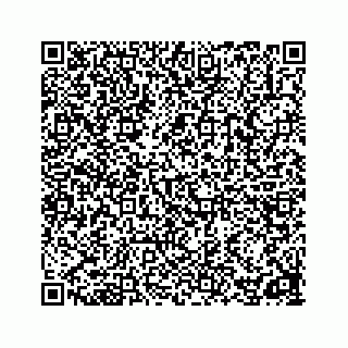 vCard 78162737311