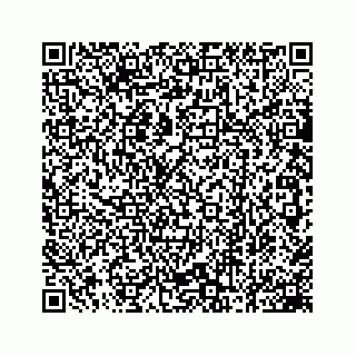 vCard 78162737313