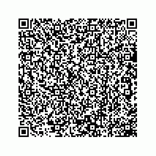 vCard 78162737333