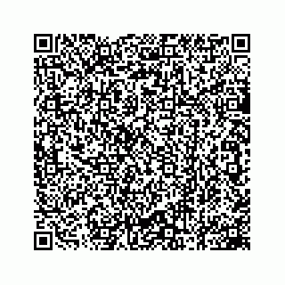 vCard 78162737340