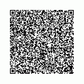 vCard 78162738002